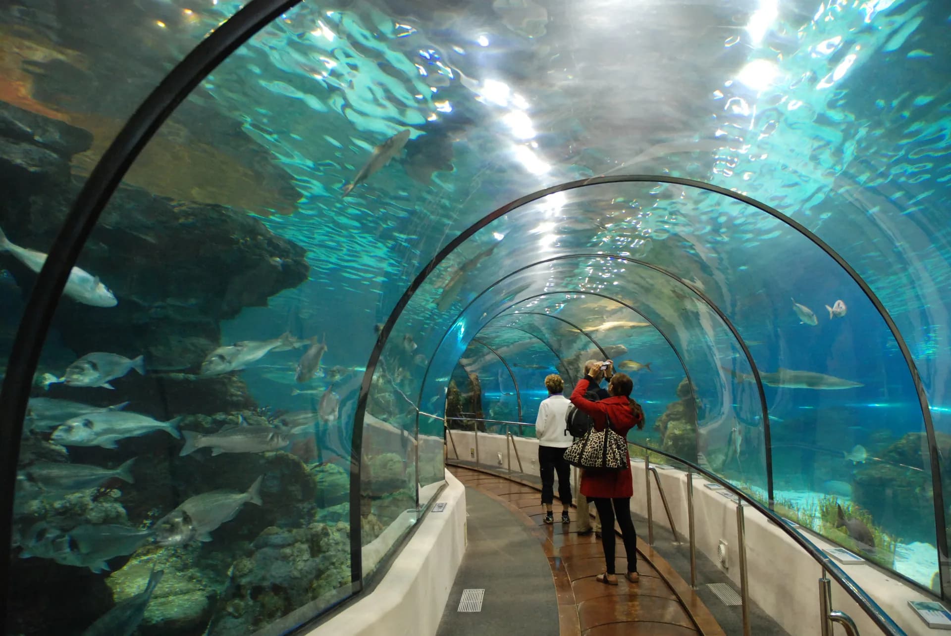 Visitantes en el túnel de cristal del Aquarium de Barcelona, rodeados de peces
