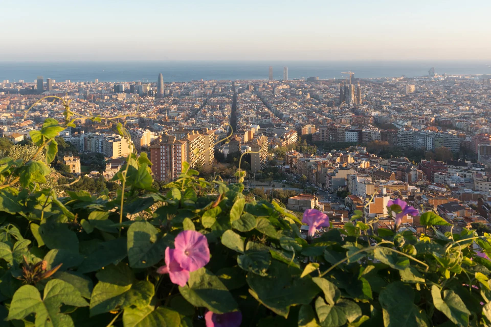 Vista de Barcelona desde los Bunkers del Carmel, con la ciudad hasta el mar