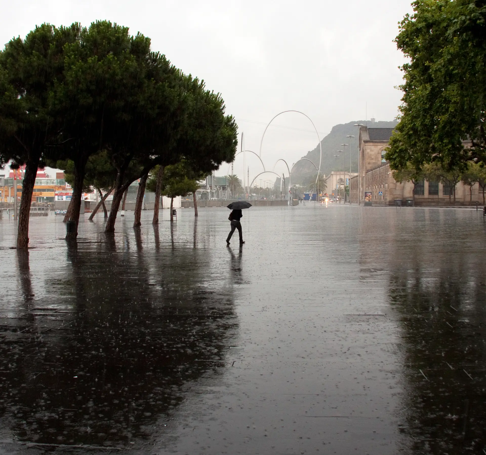Una plaça mullada per la pluja a Barcelona, amb una persona amb paraigua i pins