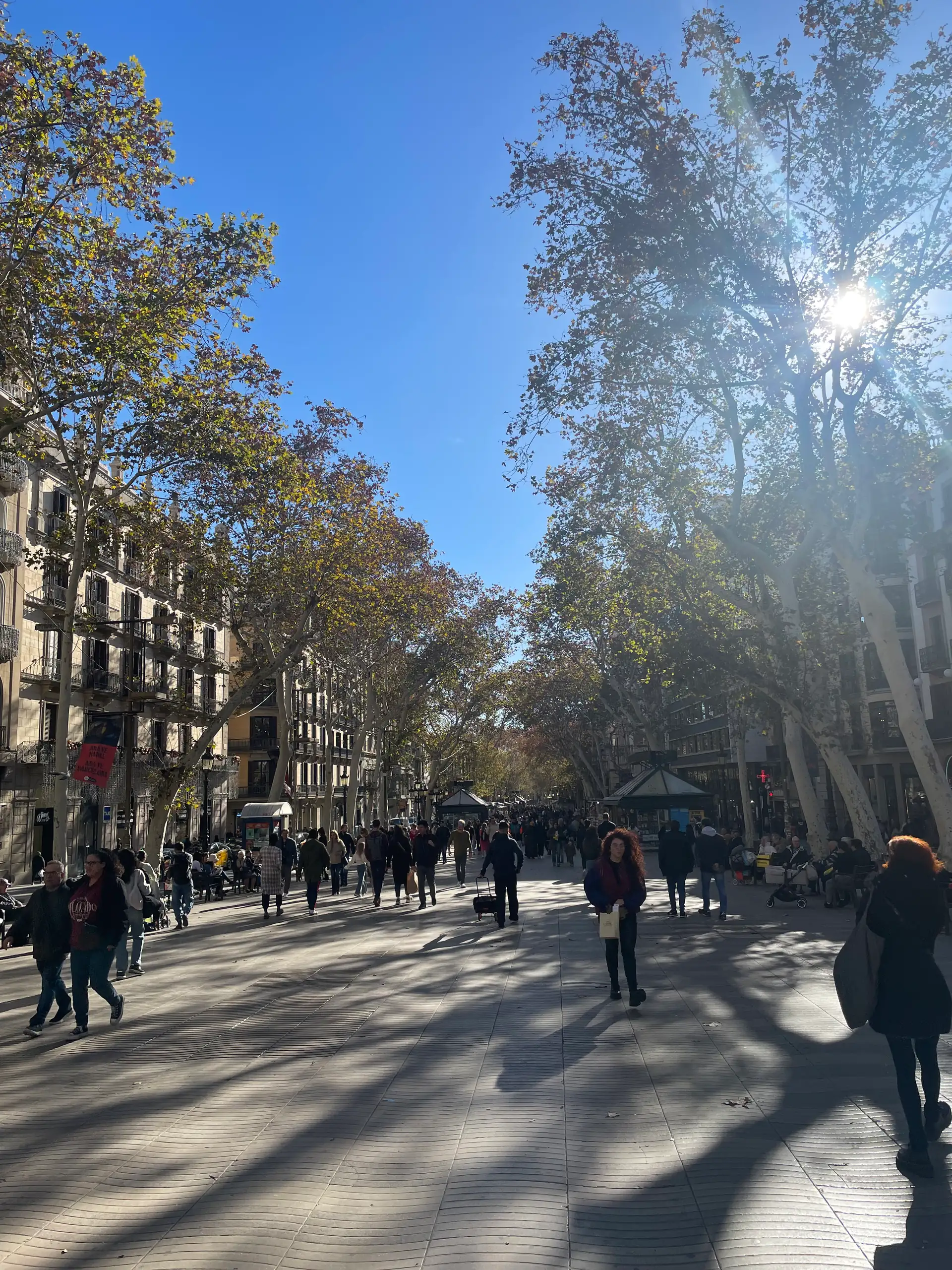 La Rambla de Barcelona un dia assolellat de gener, amb gent amb abric i els plàtans sense fulles