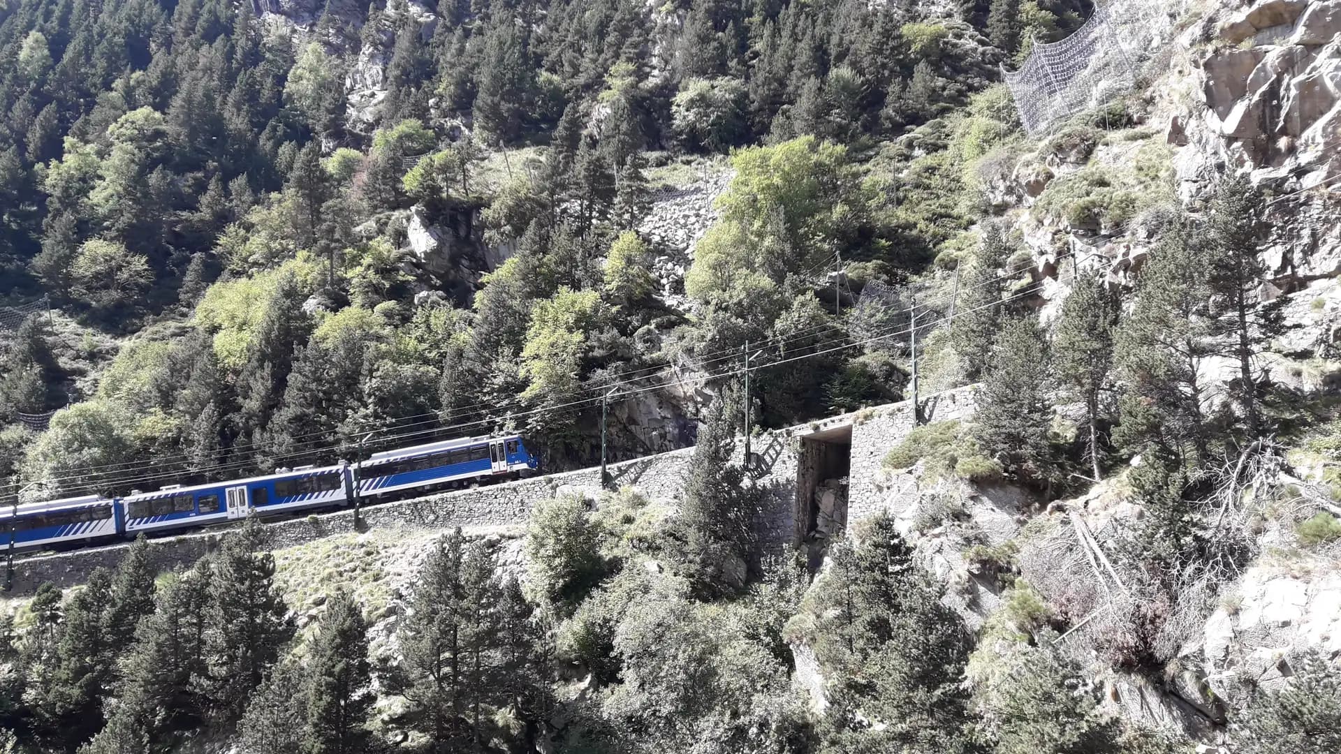 The blue and white rack train climbing the gorge through pines, seen from the old path
